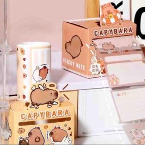 SET STICKER POSIT (Cajita x48)